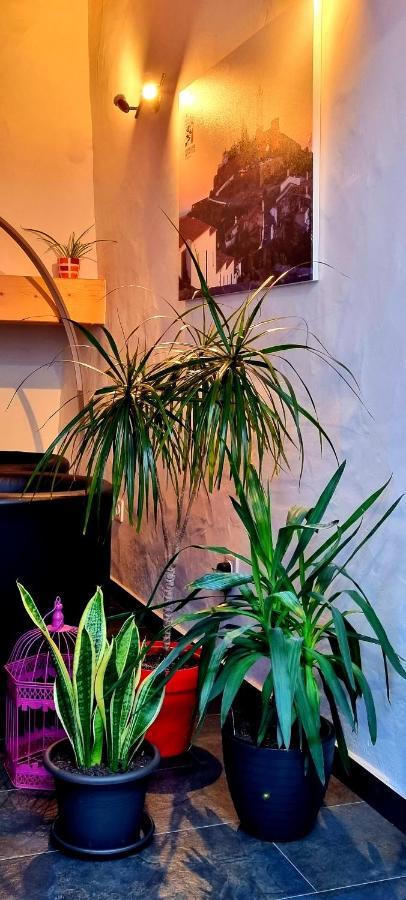 Charme De Monsaraz Villa Ngoại thất bức ảnh