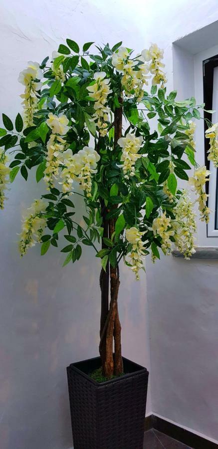 Charme De Monsaraz Villa Ngoại thất bức ảnh