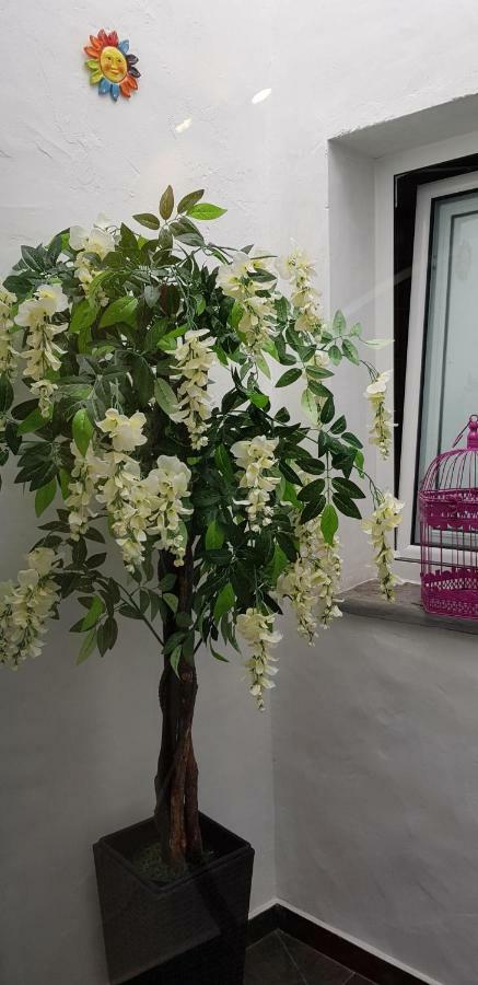 Charme De Monsaraz Villa Ngoại thất bức ảnh